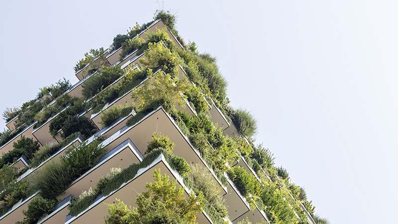 Modern building with lush green plants covering its balconies