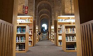 Interior view of UPF library with arched ceilings and wooden bookshelves.